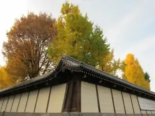 浄土真宗の法名に本来居士信士はつかない