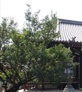誉号―浄土宗の戒名